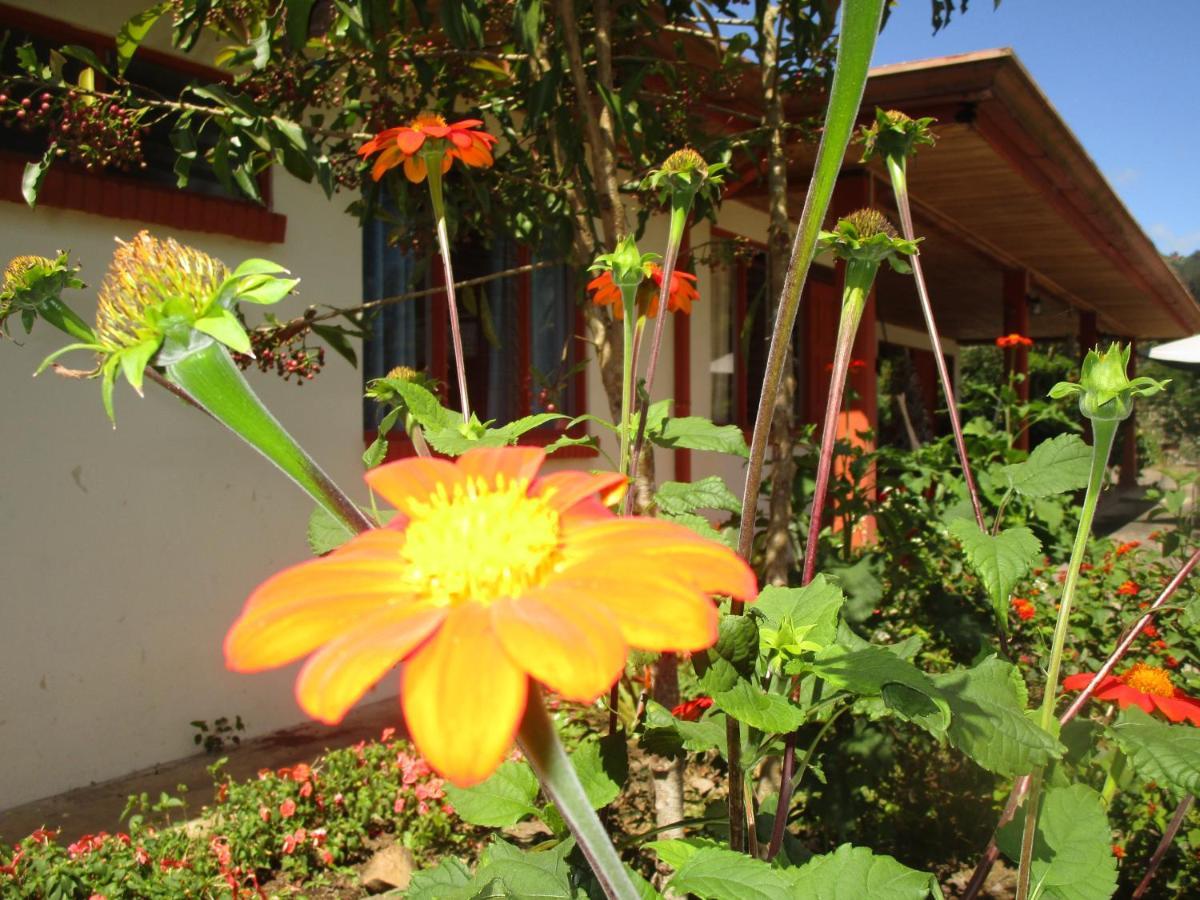 Casa Aquiares Lodge Posada Rural Turrialba Exteriör bild