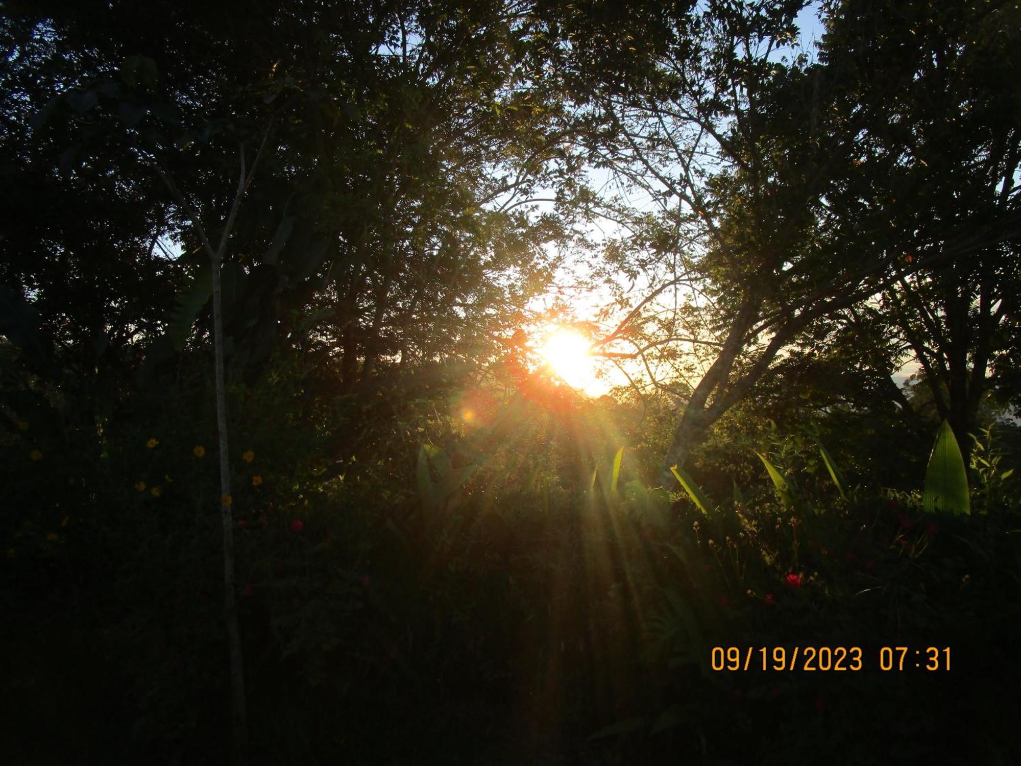 Casa Aquiares Lodge Posada Rural Turrialba Exteriör bild